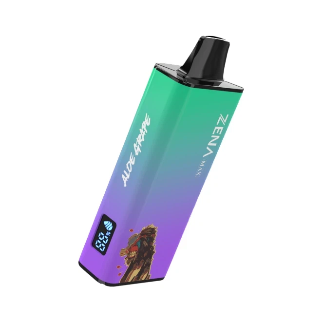 2024Ventes directes d'usine-12000bouffées jetables Vape personnalisables